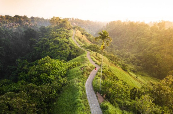 Ubud Campuhan Ridge Walk 1